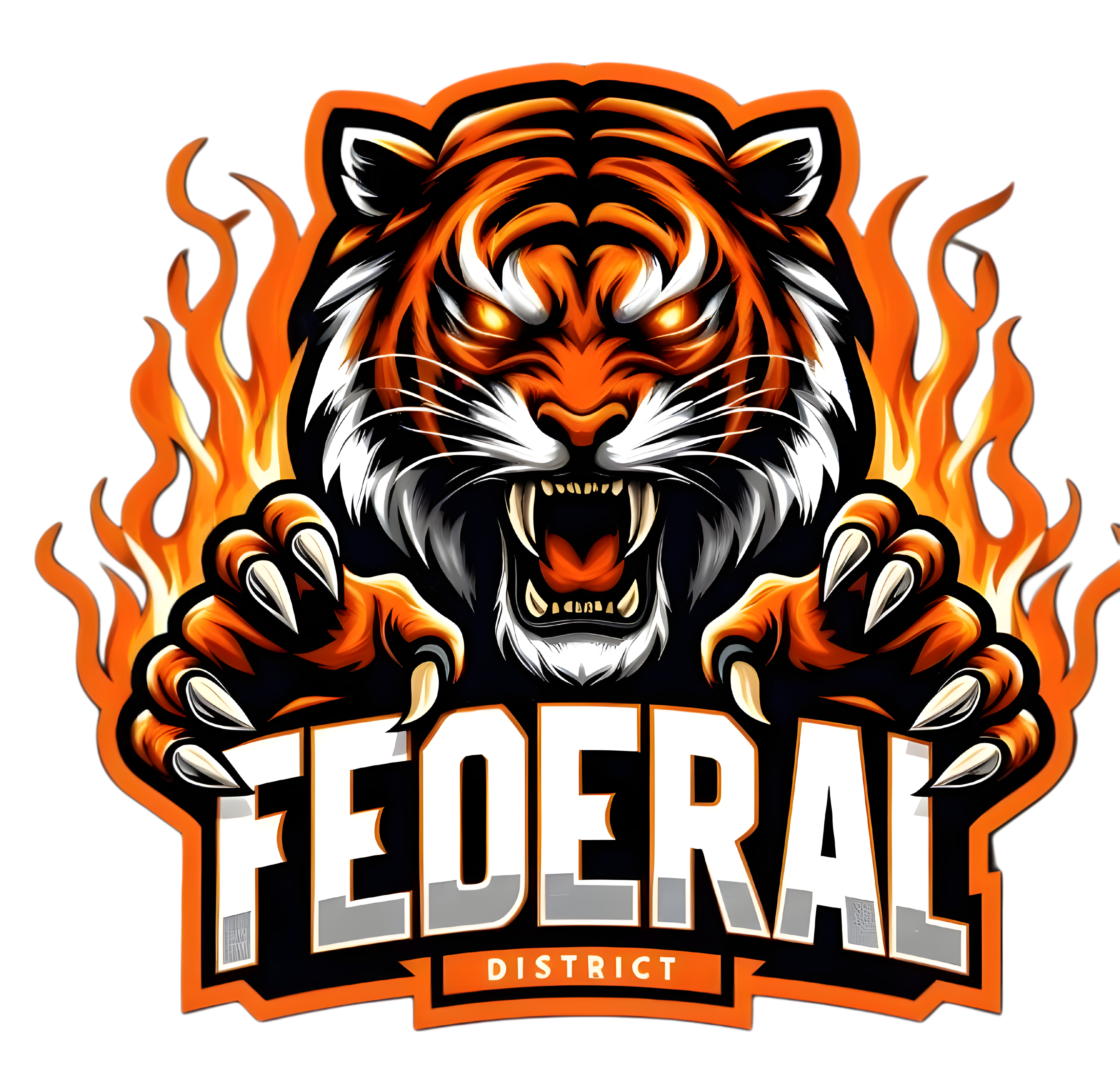 FEDERAL DISTRICT
