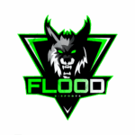 FLOOD E-SPORTS